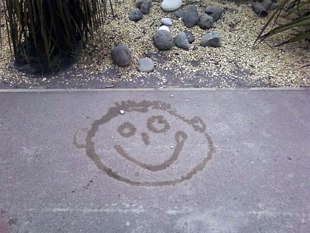 Liquefaction Smiley Face