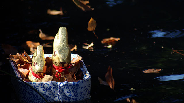 bunny-boat-leaves bunny-boat-leaves