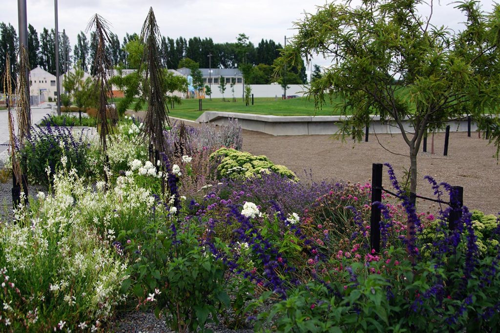 Plants in Rauora&nbsp;Park