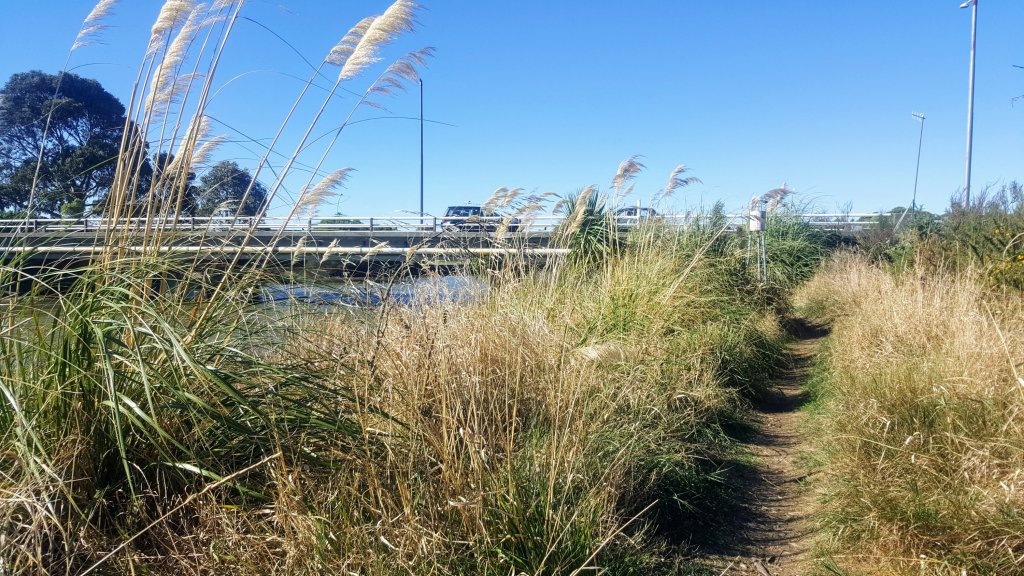 Opawaho Track Ferrymead