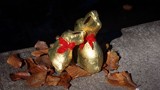 bunny-love bunny-love