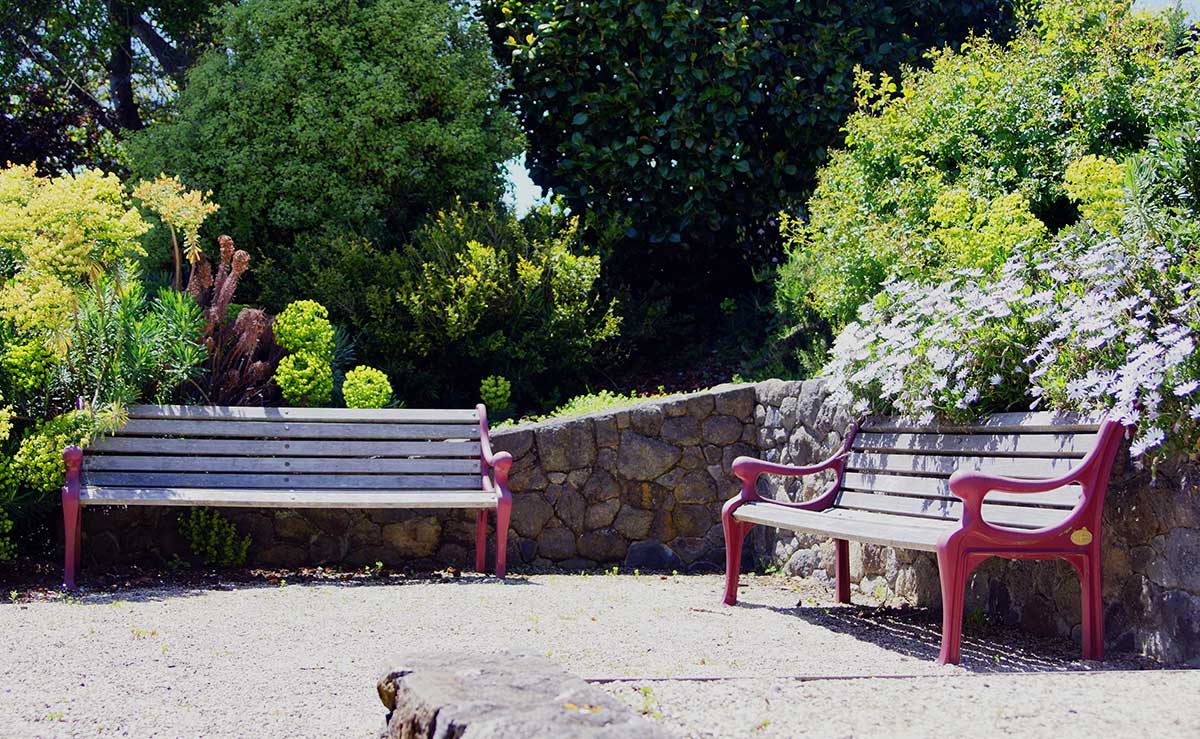 Two wooden benches with red armrests positioned in a small garden area surrounded by lush greenery and flowers.