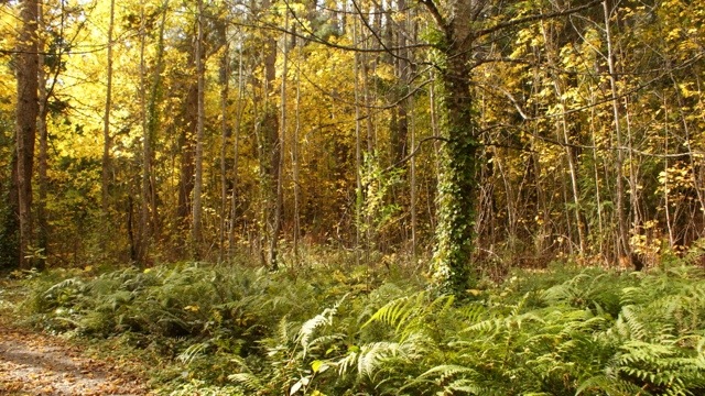 More from Hanmer Springs