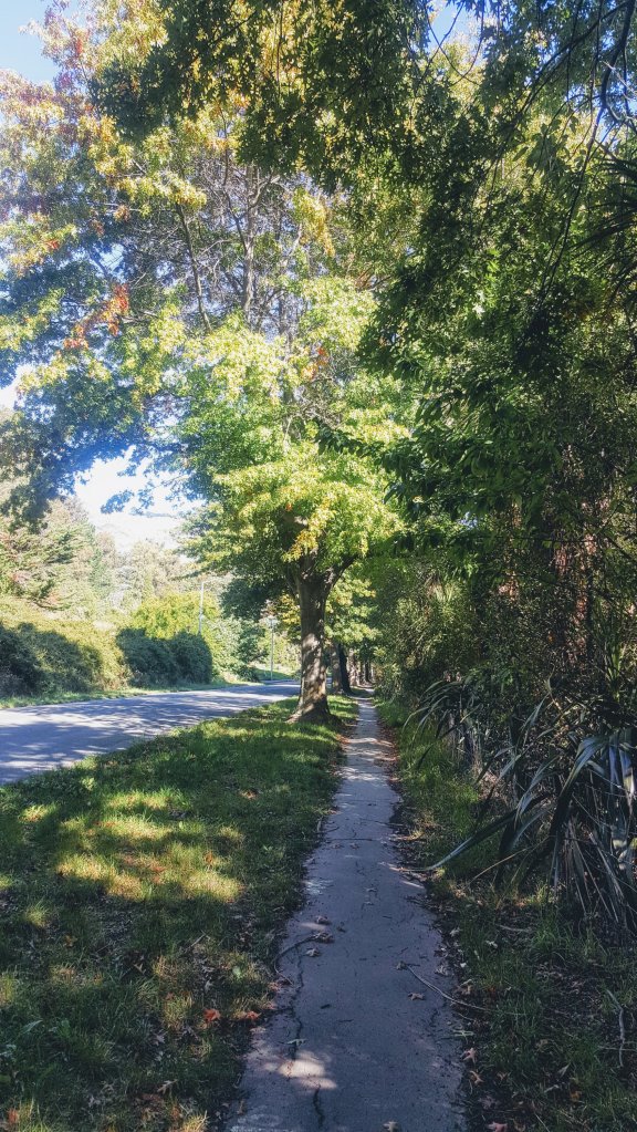 Trees on Bridle Path&nbsp;Road