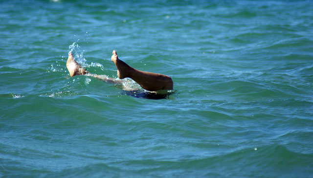 Fun in the Sun in&nbsp;Wellington