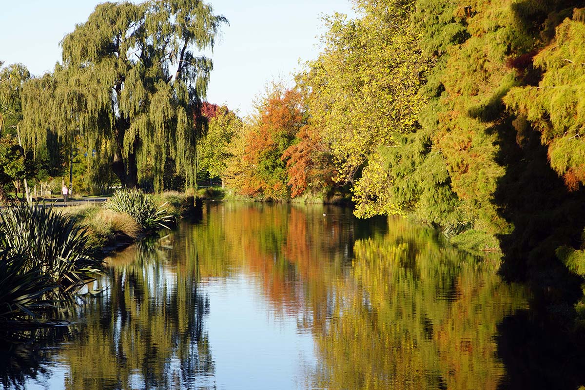 A serene river scene along Avonside Drive, showcasing lush trees with vibrant autumn colors reflecting in the calm water.