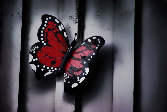 house-butterfly-decoration