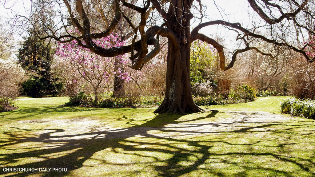 Spring in the Botanic&nbsp;Gardens