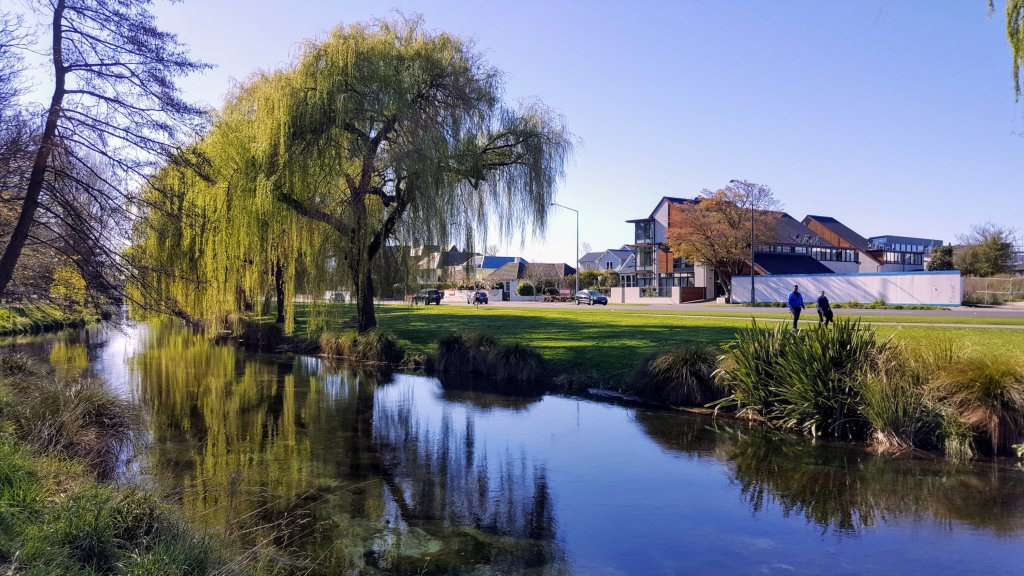 Willows by the Avon River in Hagley&nbsp;Park