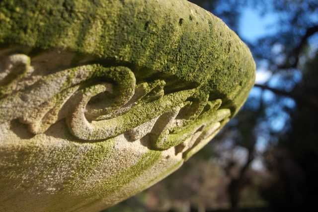 A birdbath in the Botanic&nbsp;Gardens