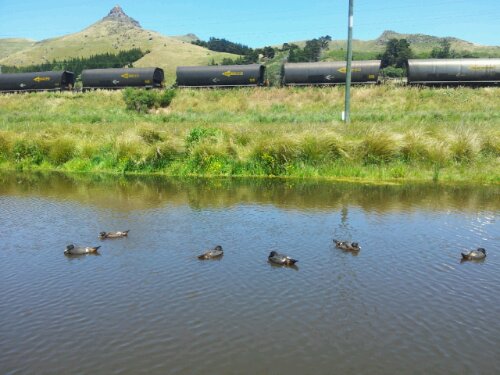 Coal train at Heathcote