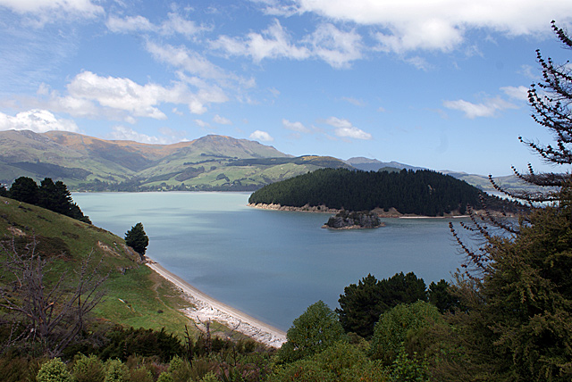 Quail Island