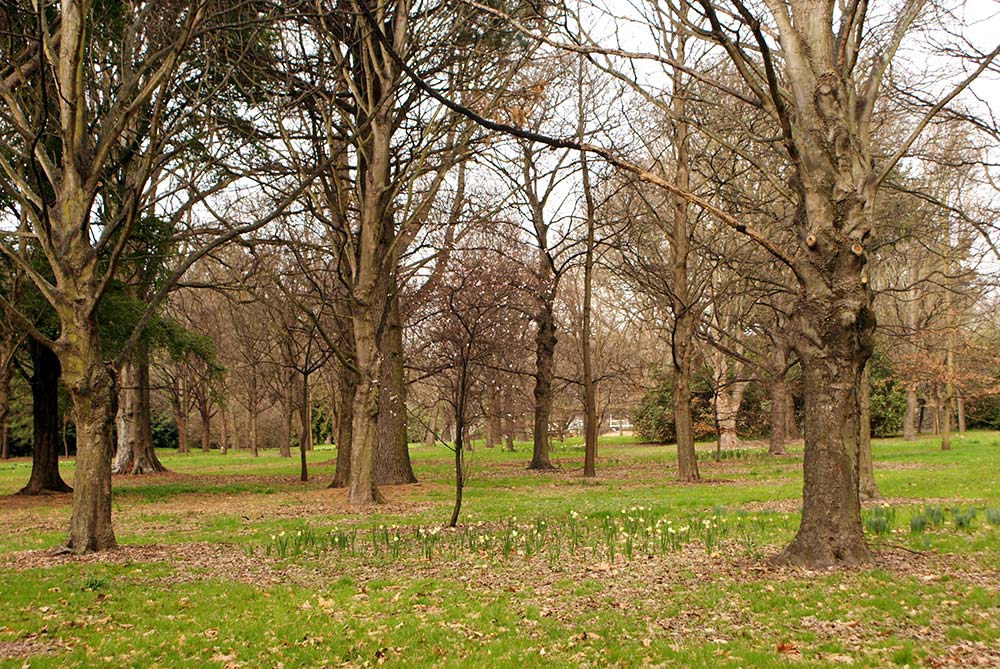 South Hagley Park