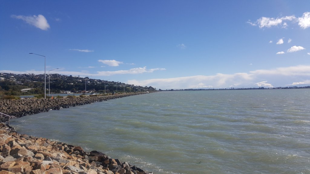 The estuary by the&nbsp;causeway