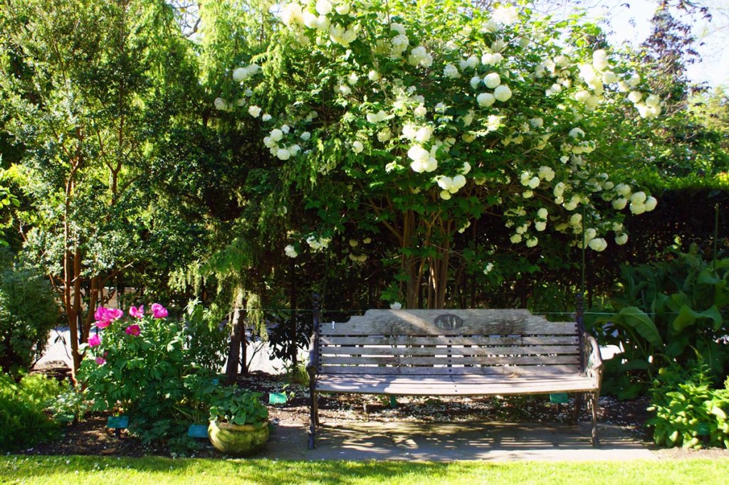 Bench Seat near the Curator’s&nbsp;House