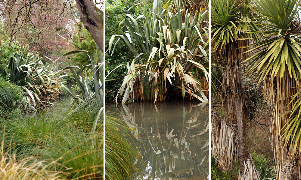 Erica Reserve, Papanui