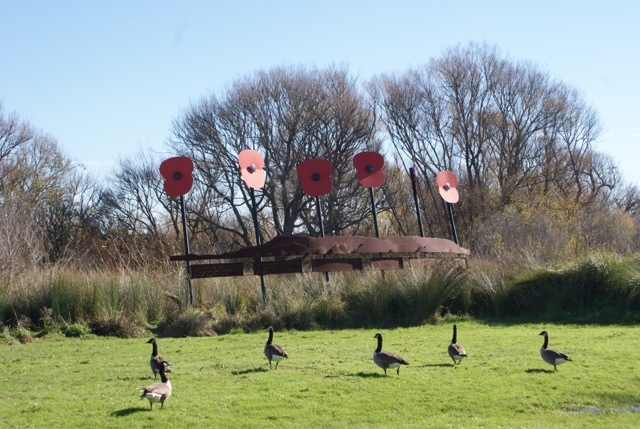 Poppies on Anzac&nbsp;Drive
