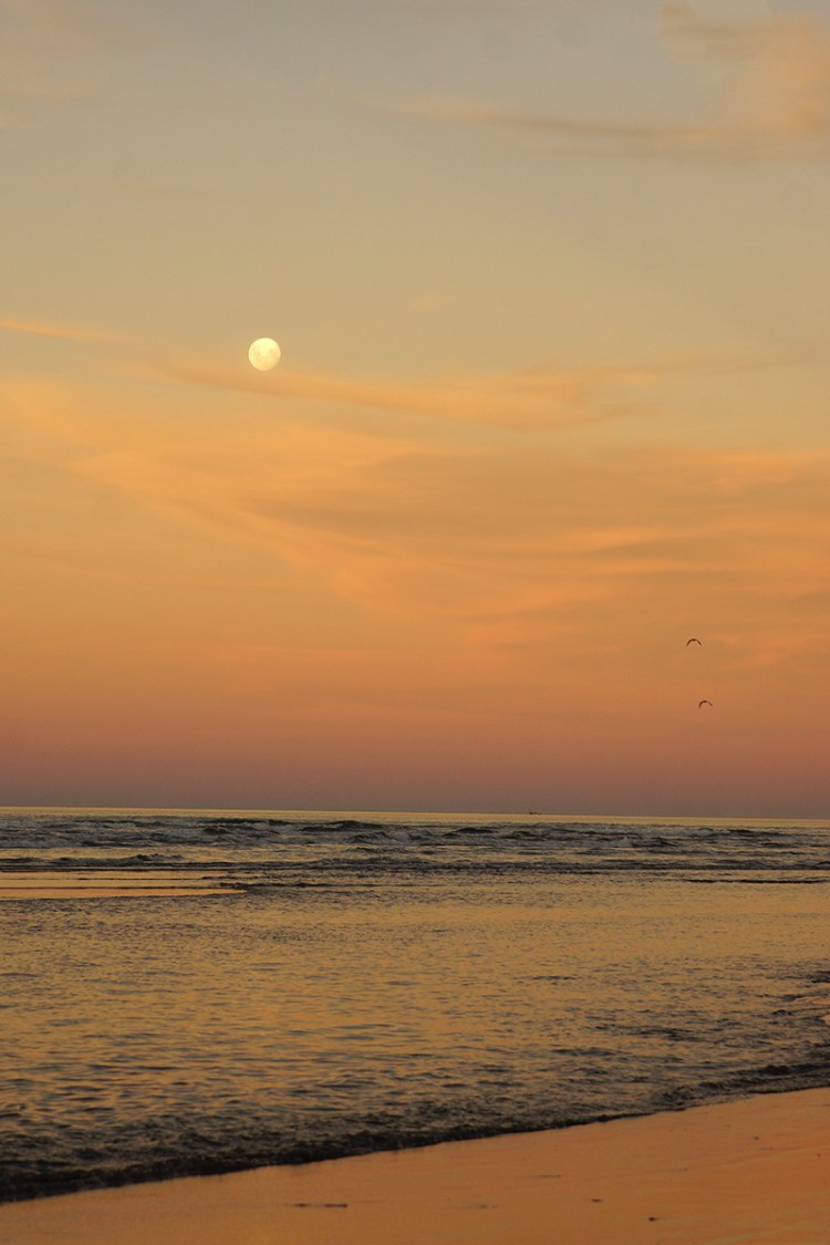 A serene beach scene at dusk with a glowing moon in the sky, soft pastel colors on the horizon, and gentle waves reflecting the colors of the sky.