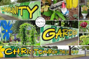 smith-community-garden