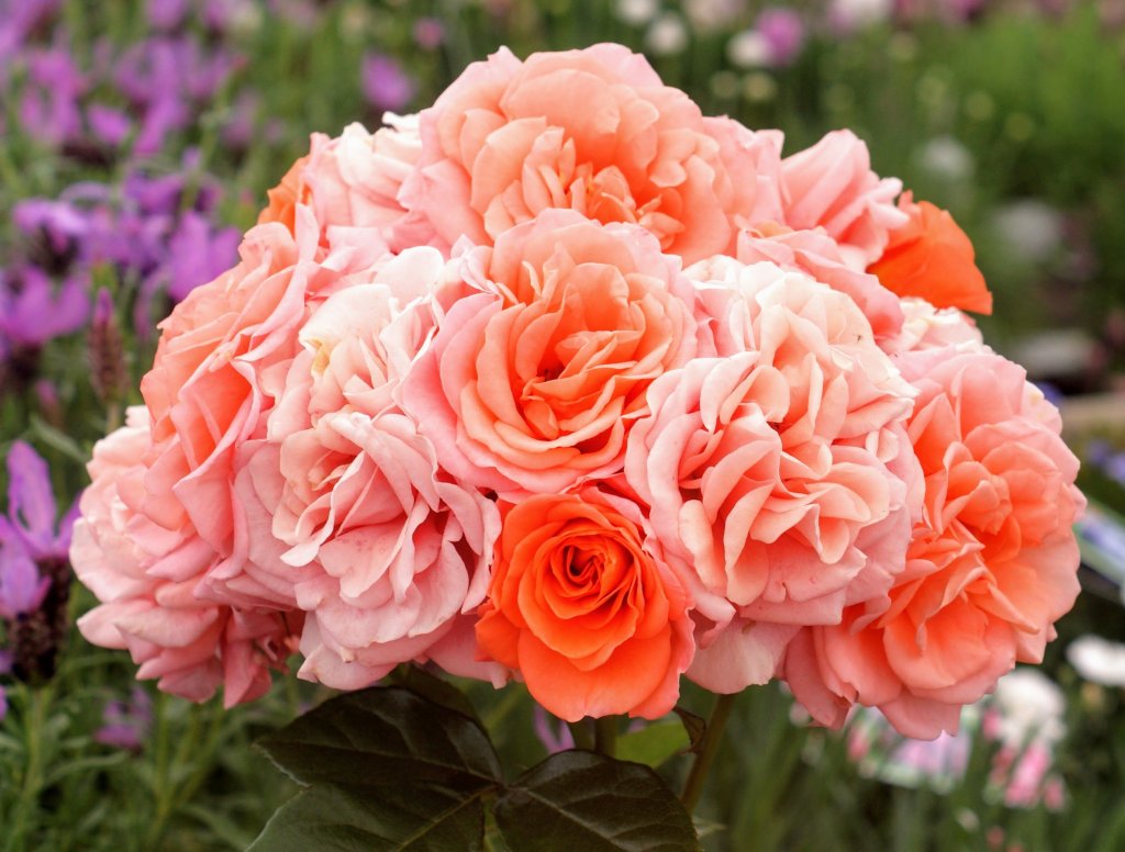 We will remember&nbsp;them