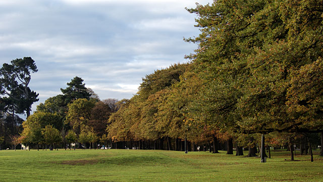 Hagley Park