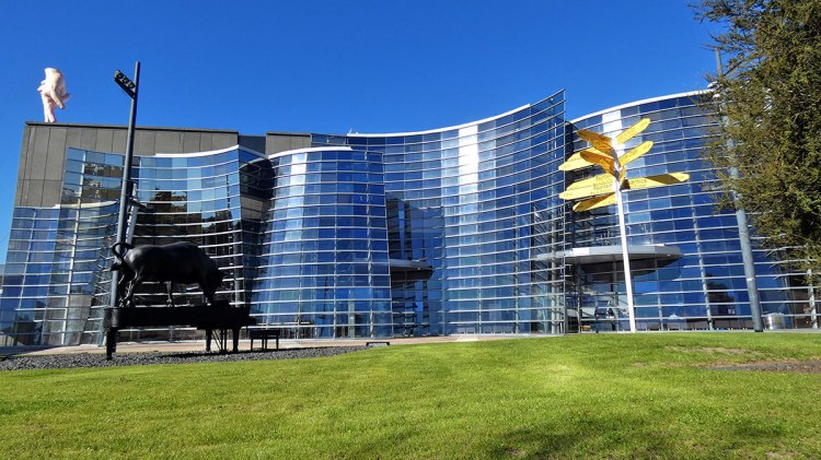 The exterior of the Christchurch art gallery featuring a modern glass facade, a sculpture of a cow, and a large yellow leaf sculpture, set against a clear blue sky.
