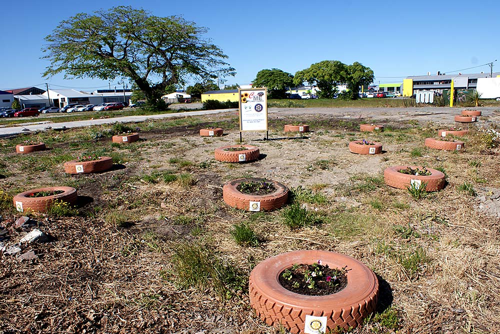 Colour Me Christchurch