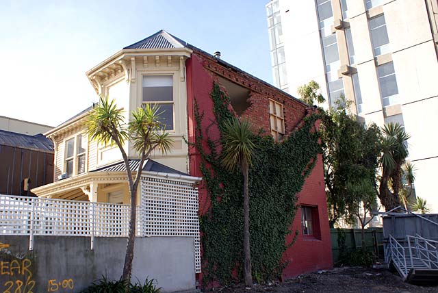 Ivy wall reinforcement