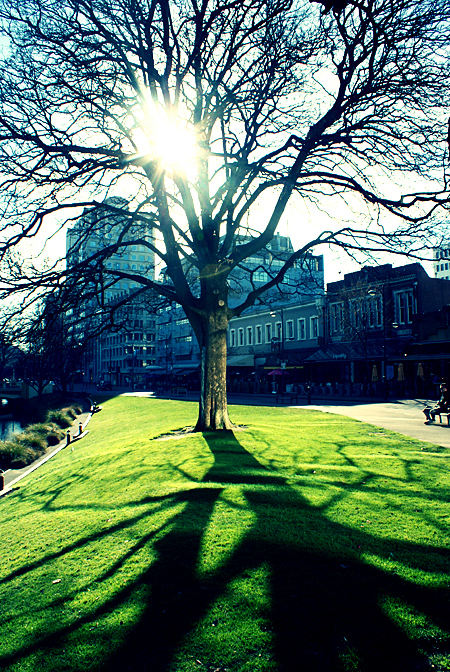 Oxford Terrace
