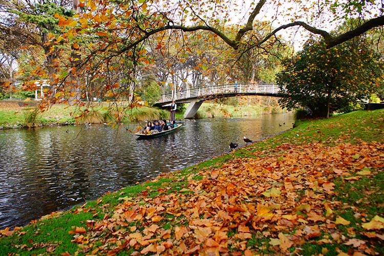 A scenic view of the Avon River in autumn, featuring colorful fallen leaves, a punting boat with people, and a recently rebuilt bridge in the background.