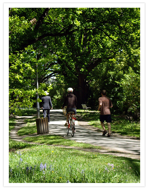 Hagley Park Lunchtime&nbsp;Joggers
