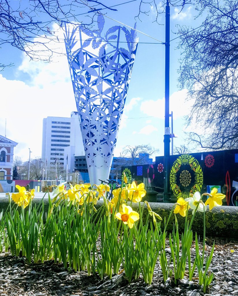 Daffodils in the&nbsp;Square