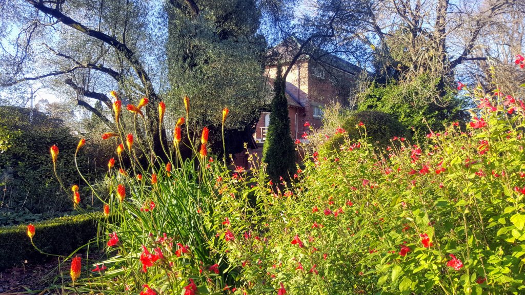 Herbaceous border in the Botanic&nbsp;Gardens