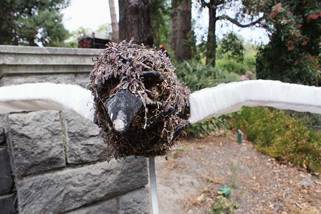 Topiary Animals in the Botanic&nbsp;Gardens