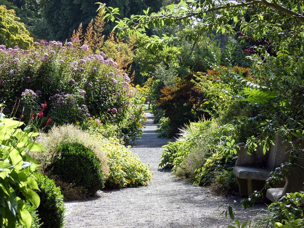 Herbaceous Border at the Botanic&nbsp;Gardens