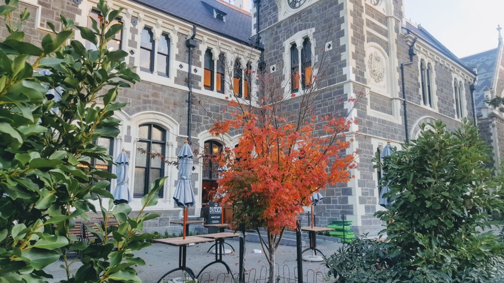 Tree by the Arts&nbsp;Centre