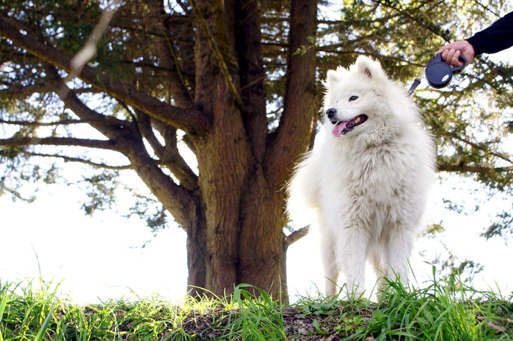 A beautiful afternoon in the Botanic&nbsp;Gardens