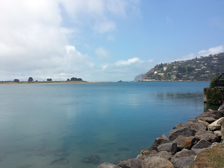 The Beach View from&nbsp;Redcliffs