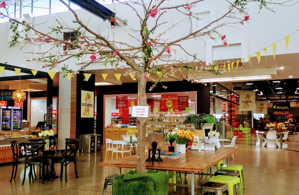 Tree at The&nbsp;Colombo