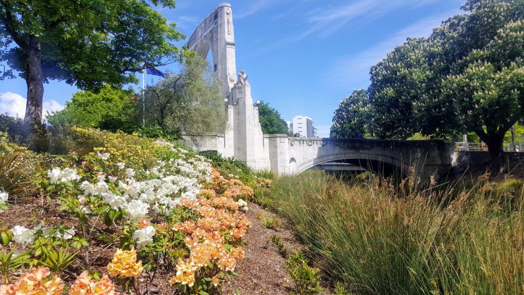 Azaleas in flower by the Bridge of&nbsp;Remembrance