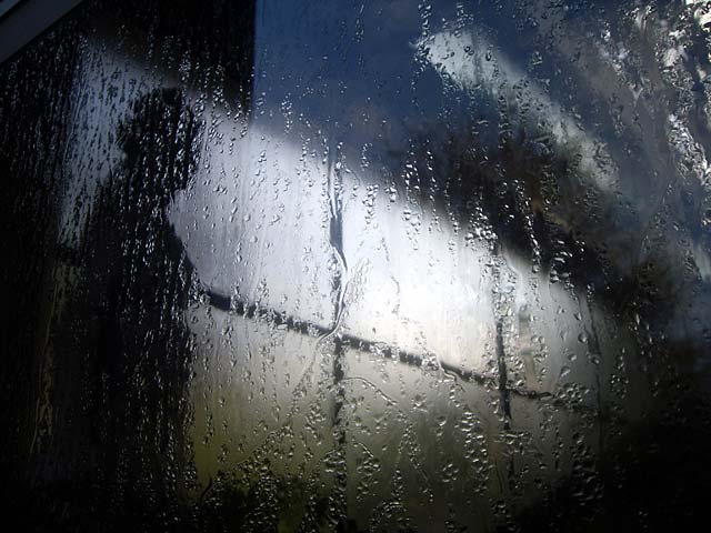 Figure in the&nbsp;Window