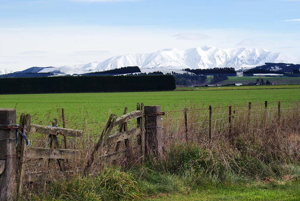 In search of&nbsp;snow…