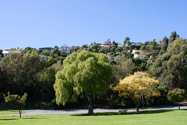Trees on Bridle Path&nbsp;Road