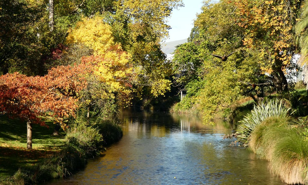 Autumn Splendor in the Botanic&nbsp;Gardens