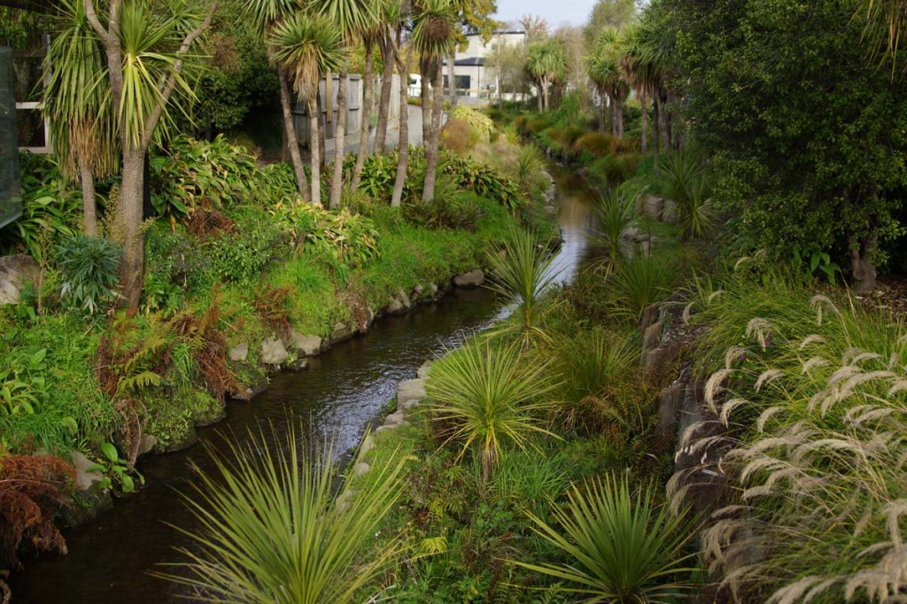 Dudley Creek Planting Near Hills&nbsp;Road