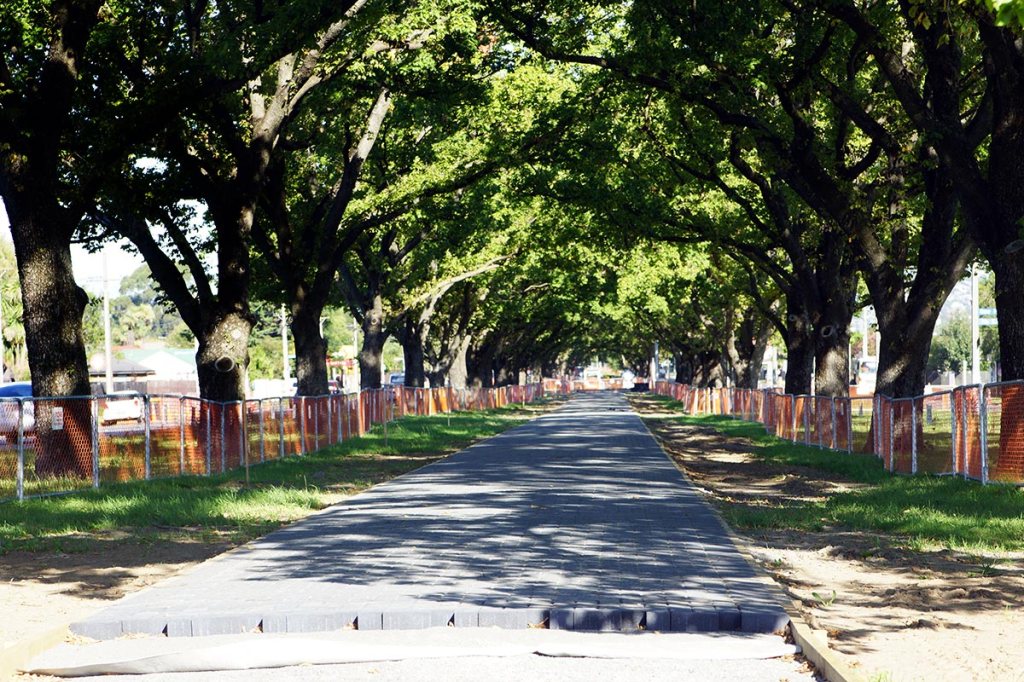 Cycleway under the trees on Linwood&nbsp;Avenue