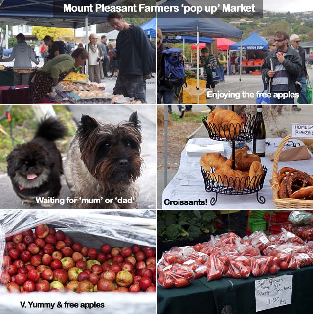 mount-pleasant-market