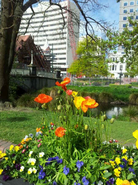 Flower box on Durham Street