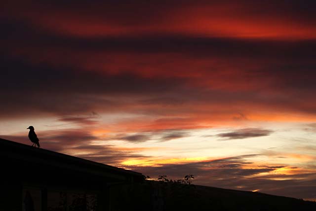 A Beautiful Canterbury&nbsp;Sunset