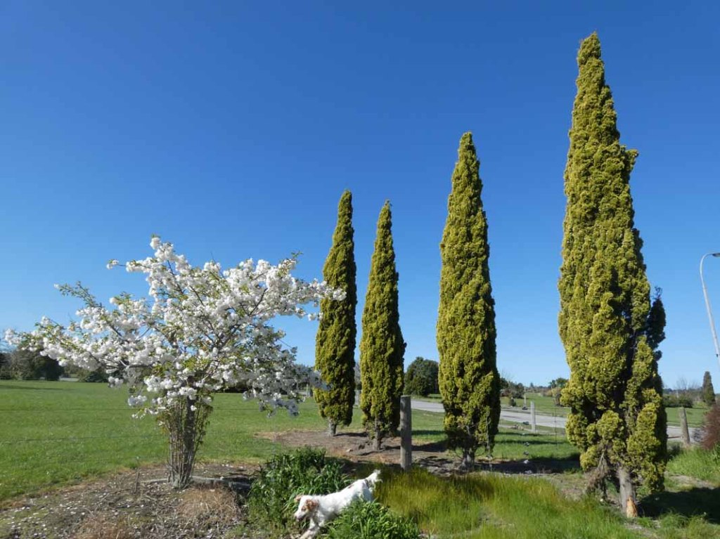 A walk in the Red Zone, New&nbsp;Brighton